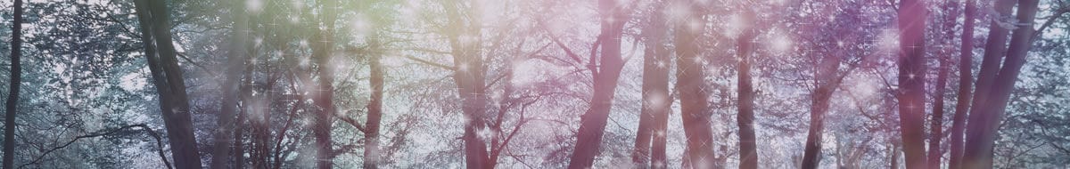Header_BG4a Header_BG4a